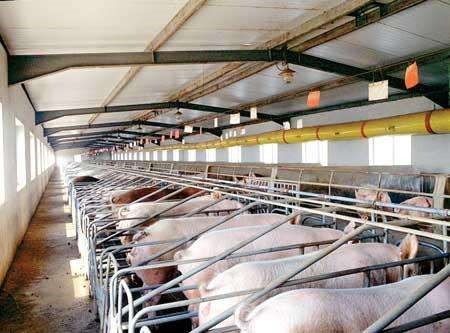 世界杯2022预选赛，养殖场取暖的不二神器